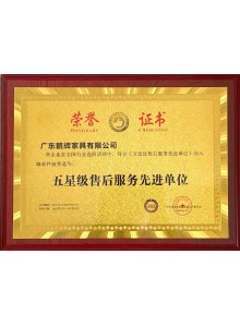 五星級售后服務(wù)先進(jìn)單位